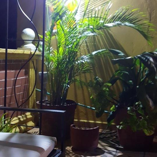 Casa Fanny Apartment Cartagena Exterior photo
